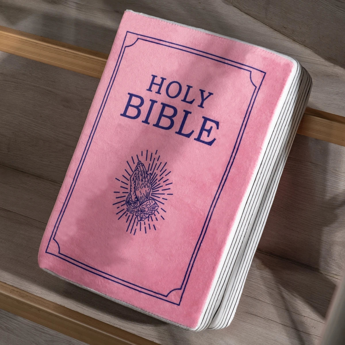 The Bible Pillow